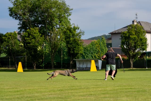 Ukázka výcviku na Vítání léta 2025 - fotka 10