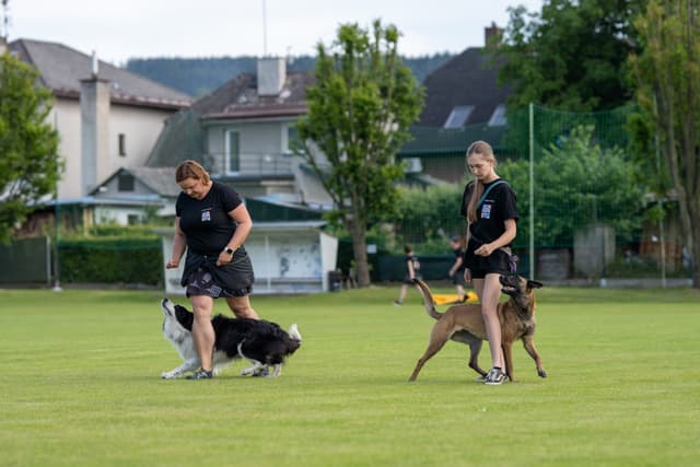 Ukázka výcviku na Vítání léta 2025 - fotka 24